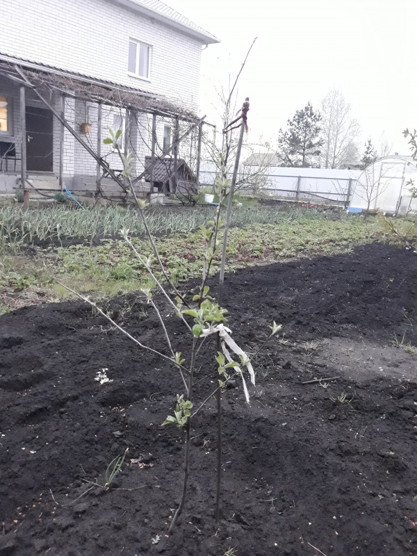 20190501_193224.jpg