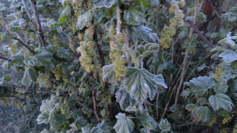 DSC08428-01.jpg