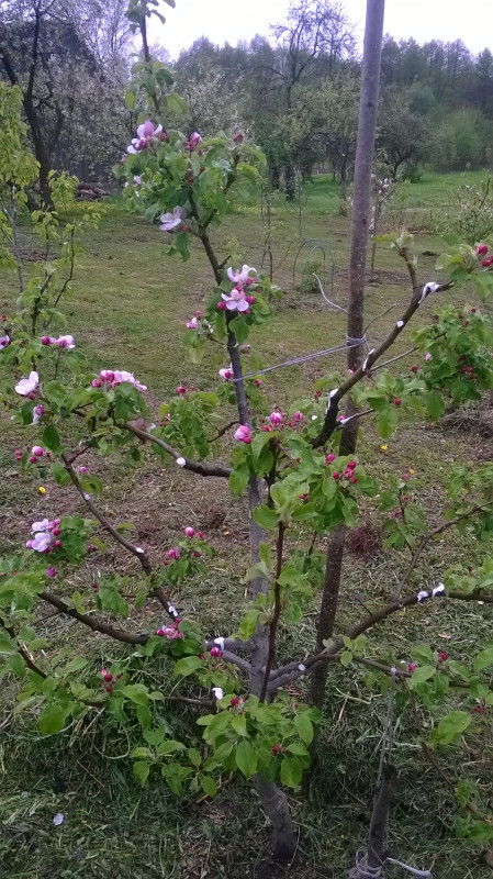 WP_20190511_006.jpg