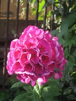 июль 2012г. 124_thumb.jpg