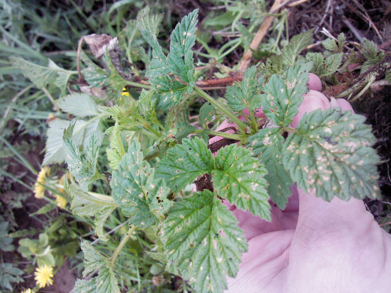 IMG10660.jpg