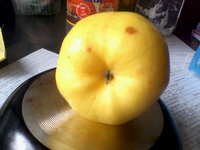 IMG_20131009_130958.jpg
