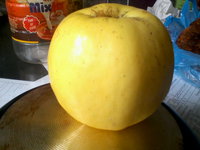 IMG_20131009_131022.jpg