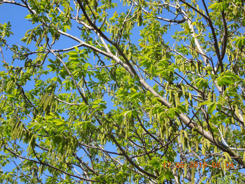DSCN7477.JPG