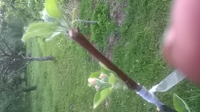 IMG-20190518-WA0007.jpg