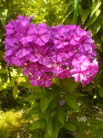 DSC03502.JPG