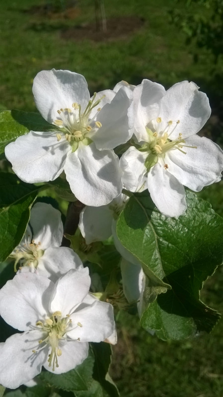 WP_20190519_002.jpg