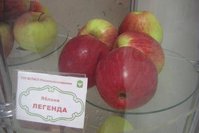 Легенда.jpg