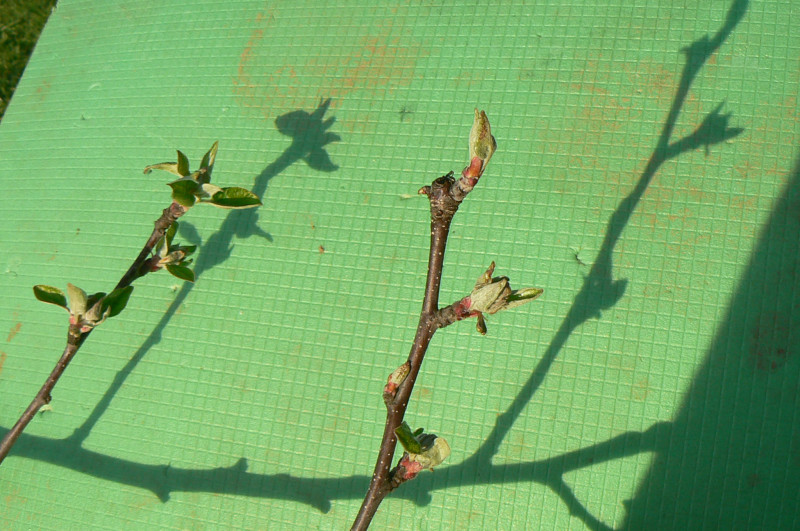P1430098.JPG