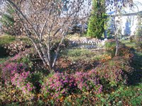 IMG_5581.JPG