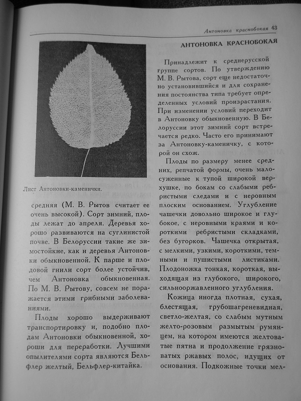 DSCN8348.JPG