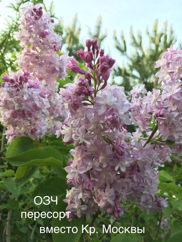 F9994950-FF29-4361-9374-79E705EC4081.jpeg