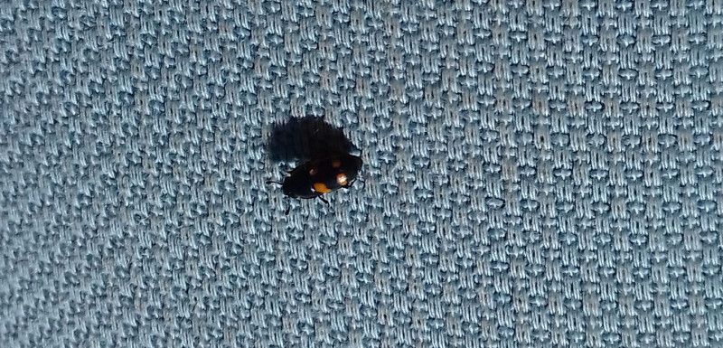 20190601_184422-1.jpg