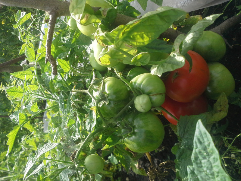 20150712_162235.jpg