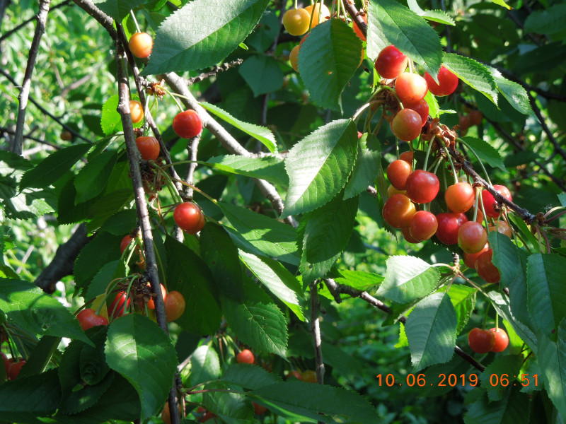 DSCN7586.JPG