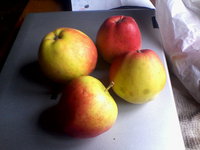 IMG_20131019_114738.jpg
