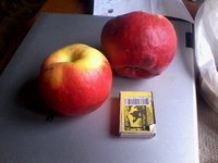 IMG_20131019_114919.jpg