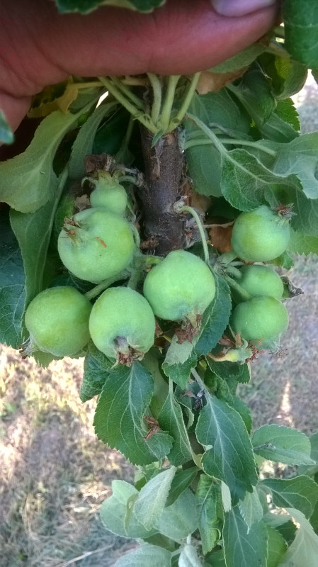 WP_20190613_001.jpg