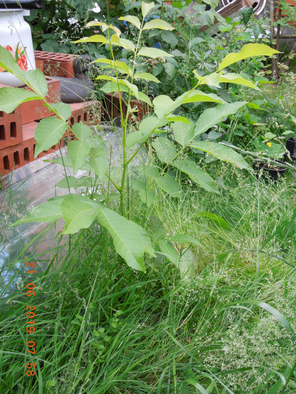 DSCN7640.JPG