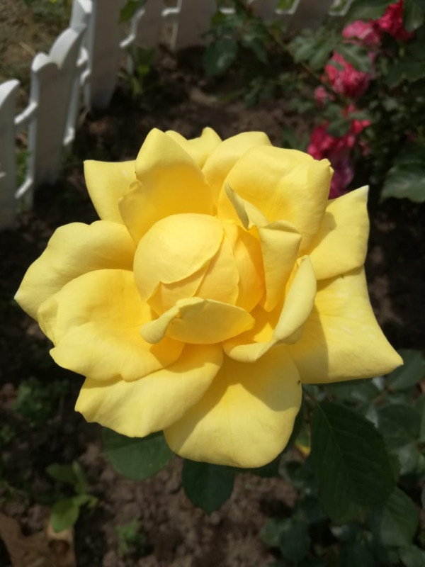 IMG-20190622-WA0018.jpg