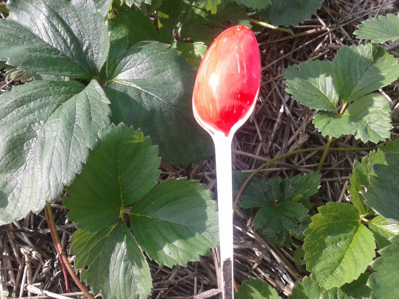 20180826_170835.jpg