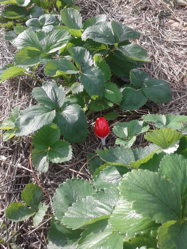 20180826_170801.jpg