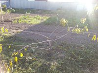 IMG_2013102647209.jpg