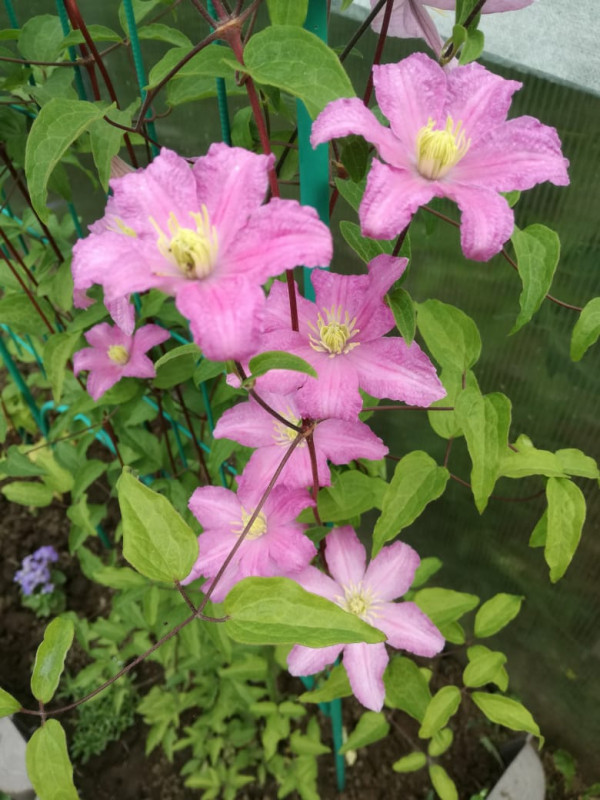 IMG-20190623-WA0006.jpg