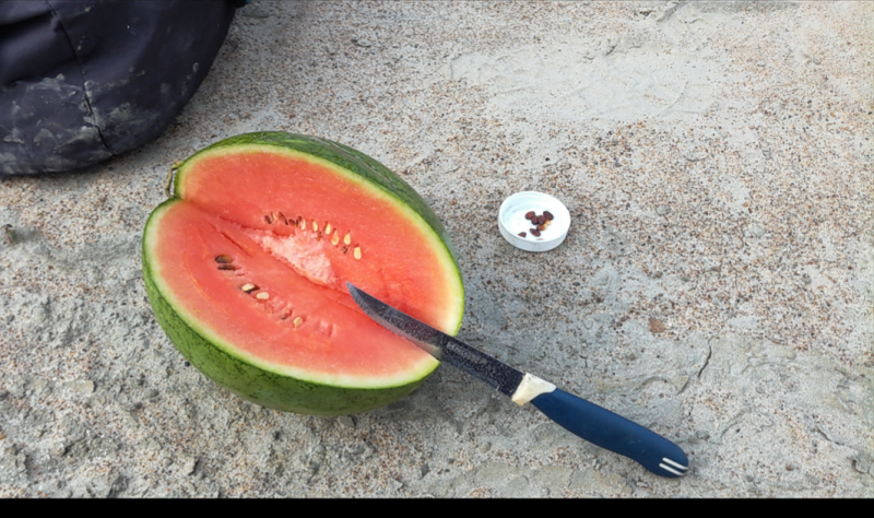 IMG_20190628_235638.png