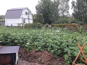 IMG-20190629-WA0012.jpg