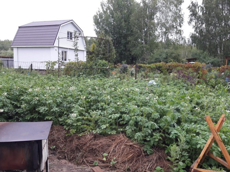 IMG-20190629-WA0015.jpg