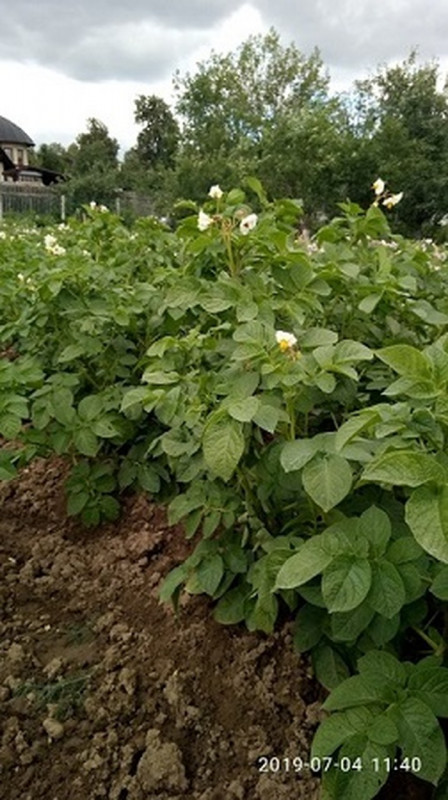 P90704-114026_Easy-Resize.com.jpg
