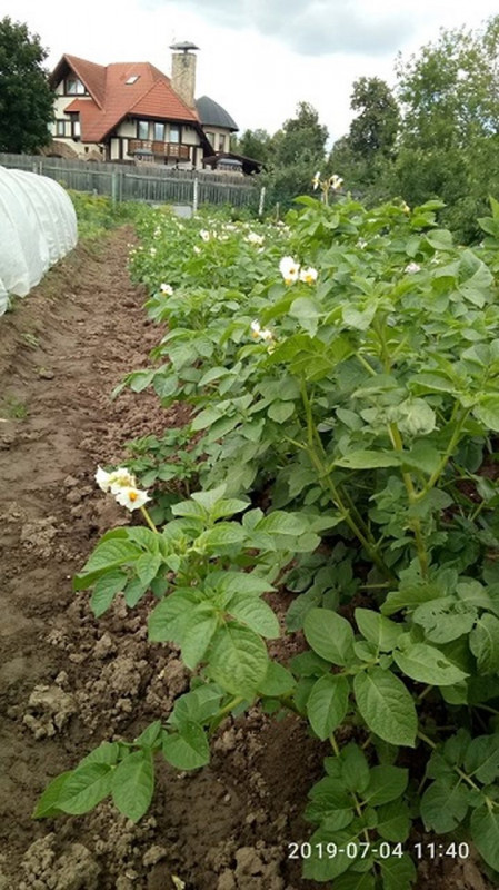 P90704-114040_Easy-Resize.com.jpg