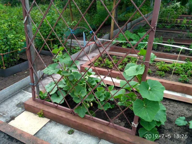 IMG-20190705-WA0016.jpg