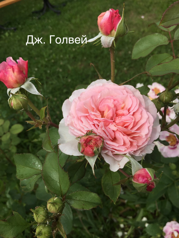 5A21FF3E-7CDD-4CDA-9BB5-C950E1CB1543.jpeg