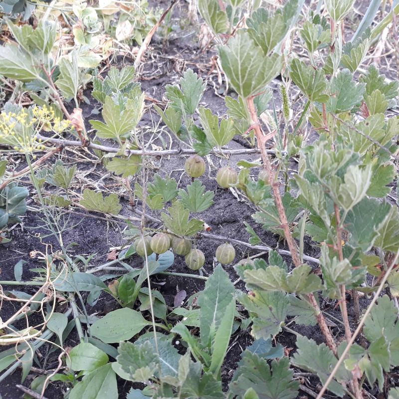 20190717_191322.jpg