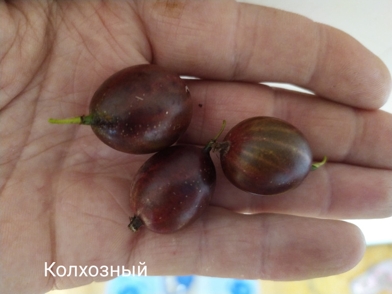 IMG_20190720_165919.jpg