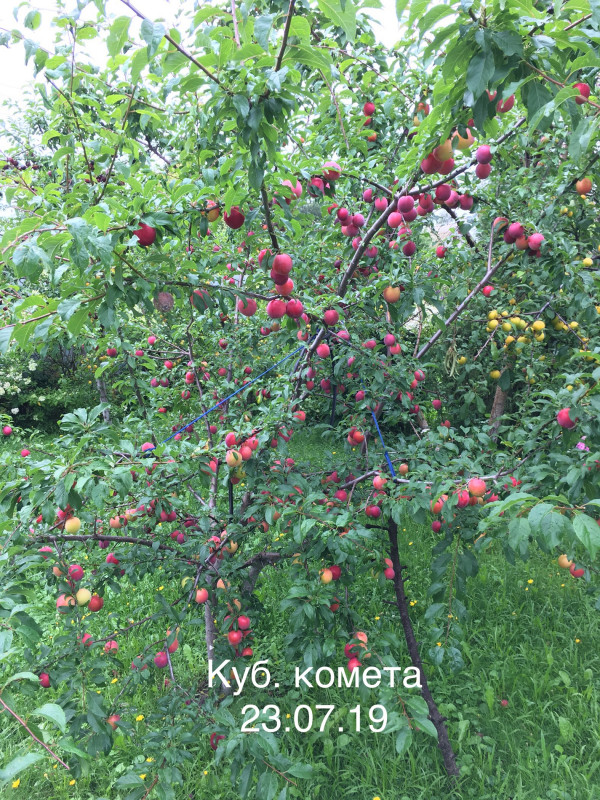 CB1B7BAB-4580-4D63-9A92-ED2DF1428659.jpeg