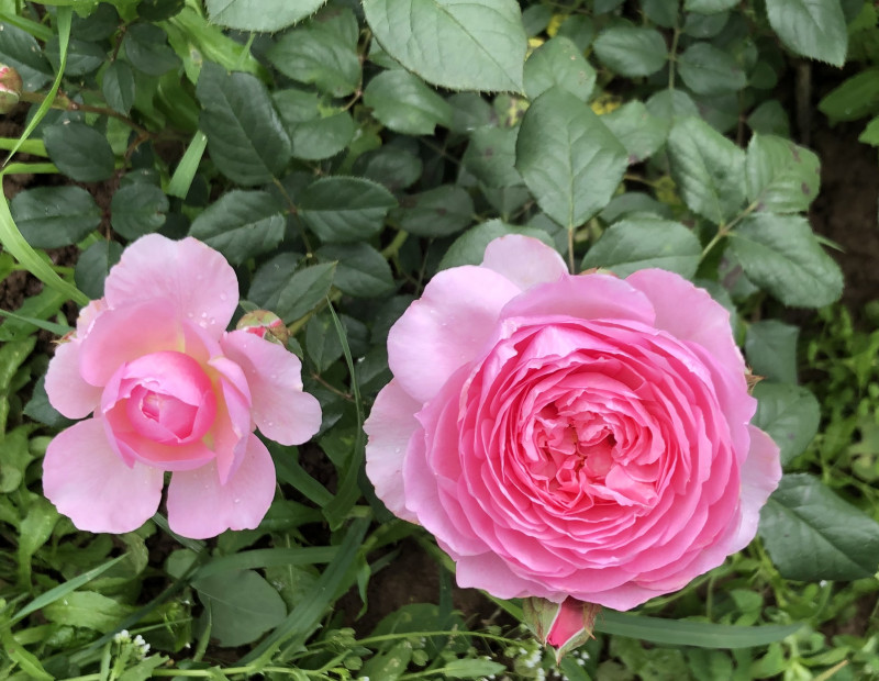 9A358DB2-B6F0-4E13-9C6B-7E730127A7C7.jpeg