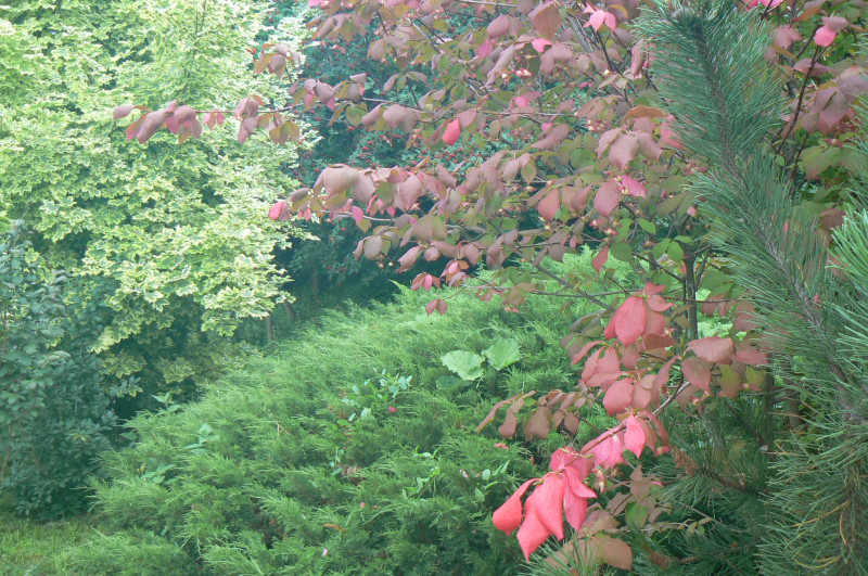 P1450757.JPG