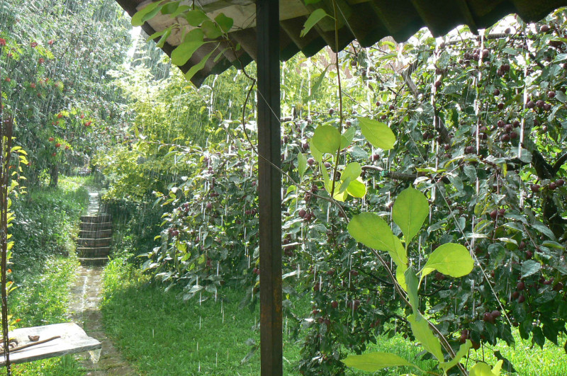P1450577.JPG