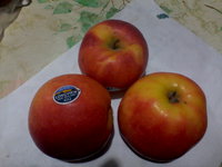 IMG_20131107_202612.jpg