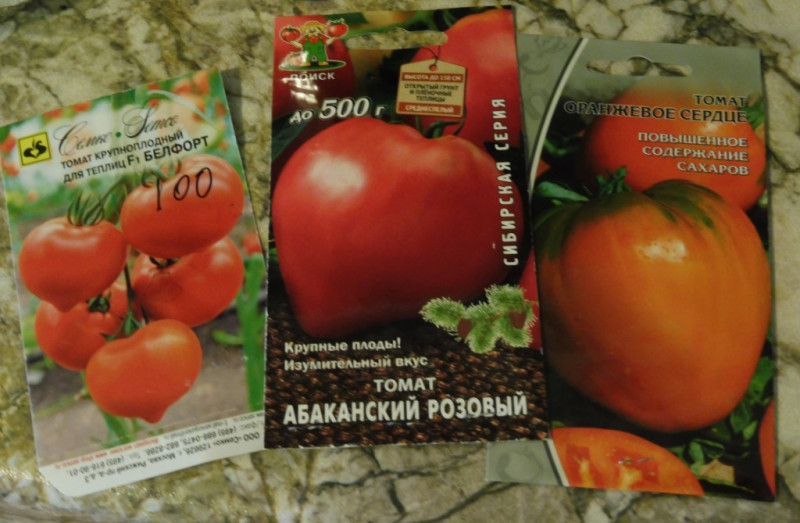 P1020144.JPG