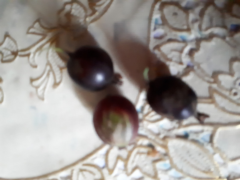 20190804_095951.jpg