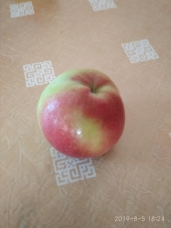 IMG_20190805_182439.jpg