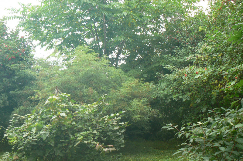P1450960.JPG