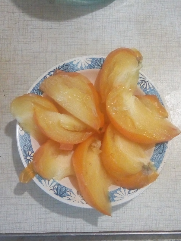 IMG_20190809_091123.jpg