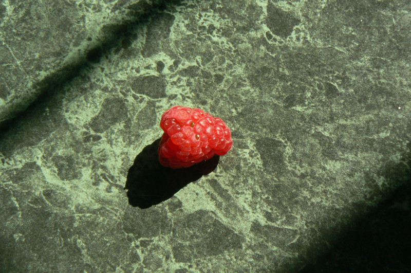P1460022.JPG