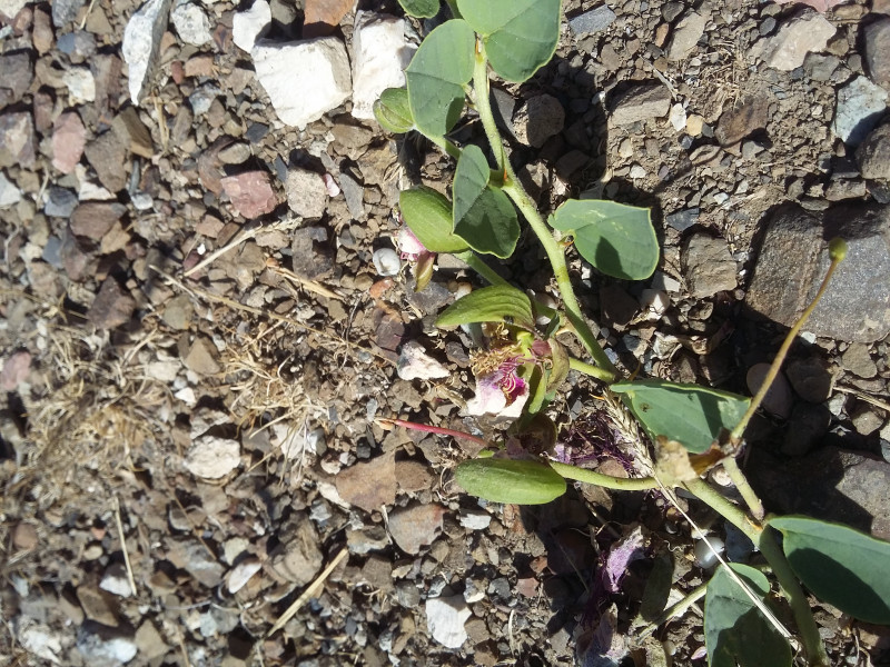 20190814_093149[1].jpg