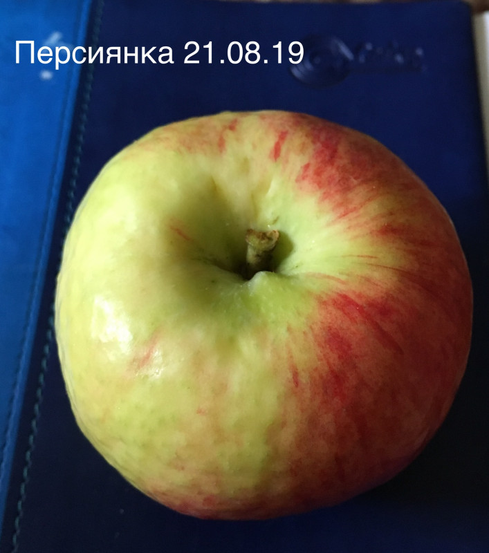 14137194-1EFB-4DDB-804E-5CD5EB36403E.jpeg